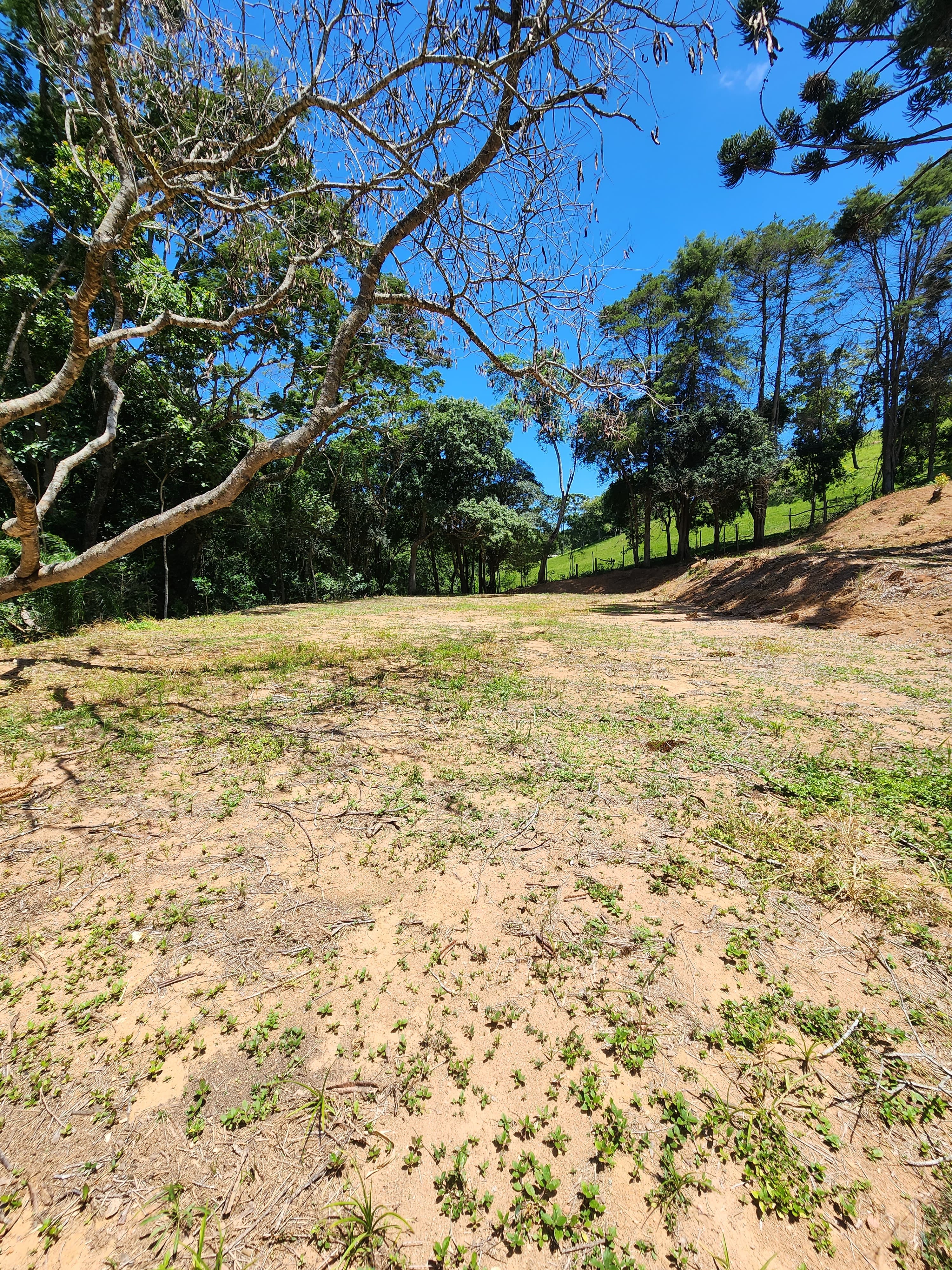 Sítio à venda com 3 quartos, 36000m² - Foto 18