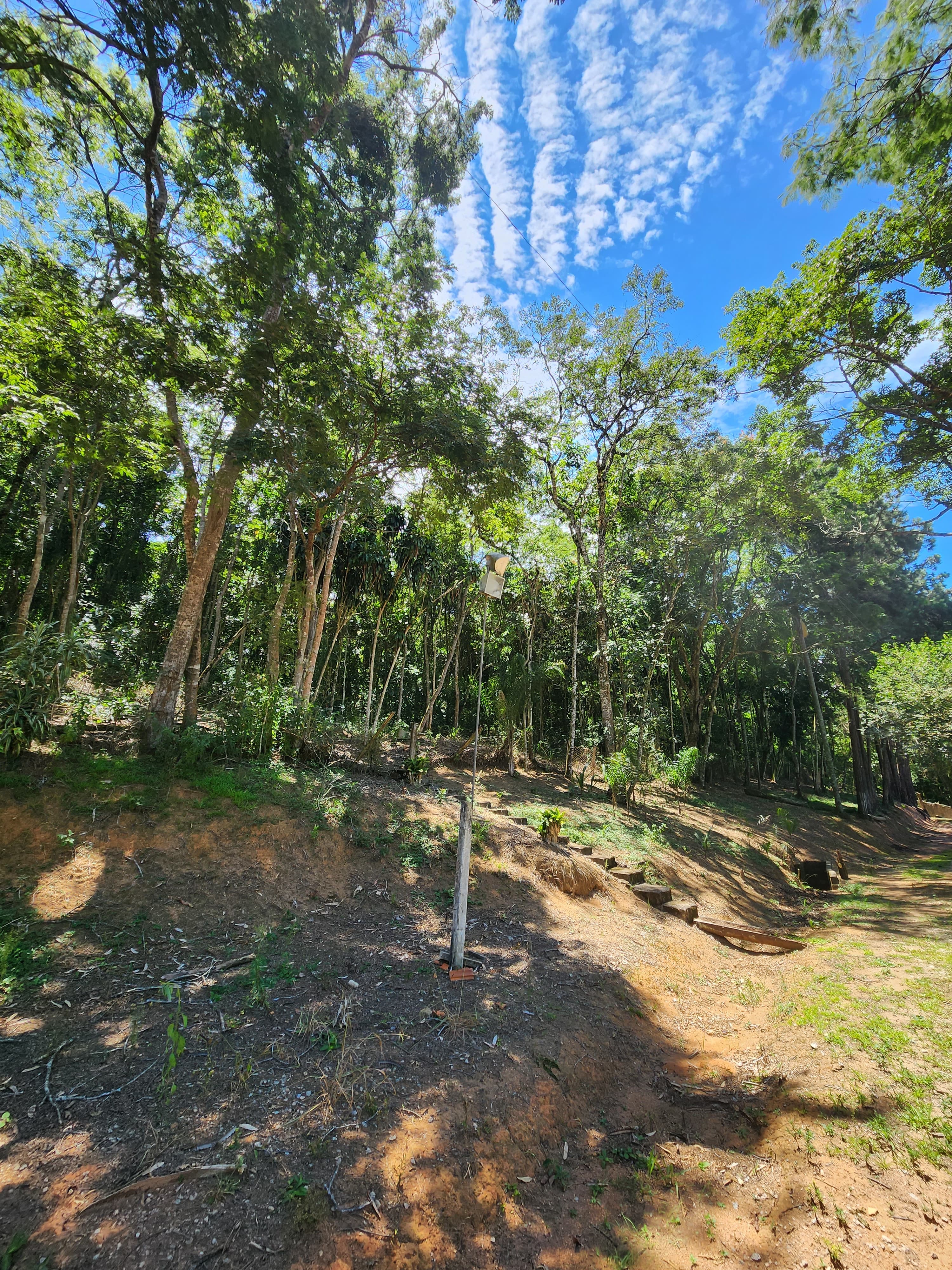 Sítio à venda com 3 quartos, 36000m² - Foto 19