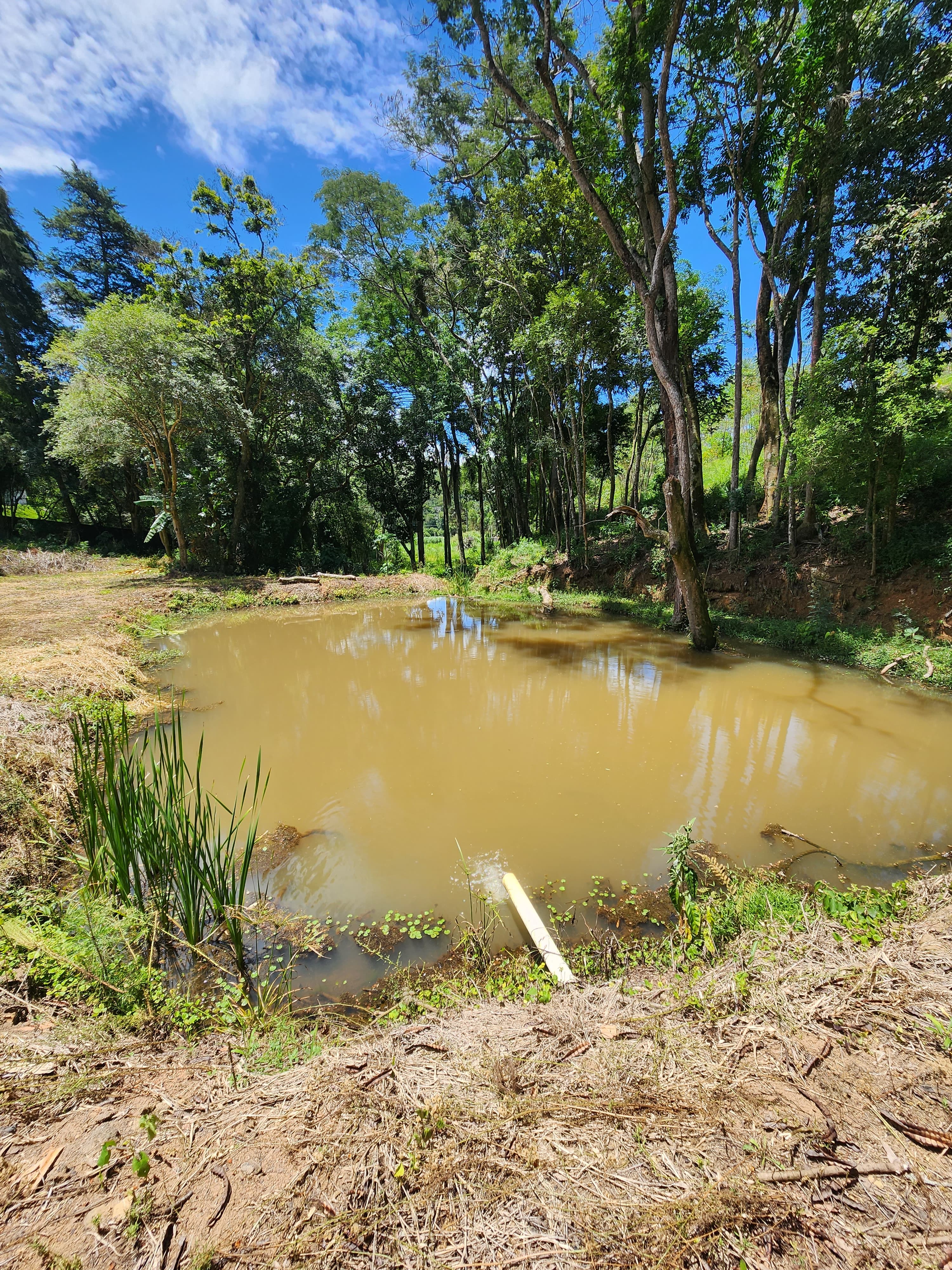 Sítio à venda com 3 quartos, 36000m² - Foto 16