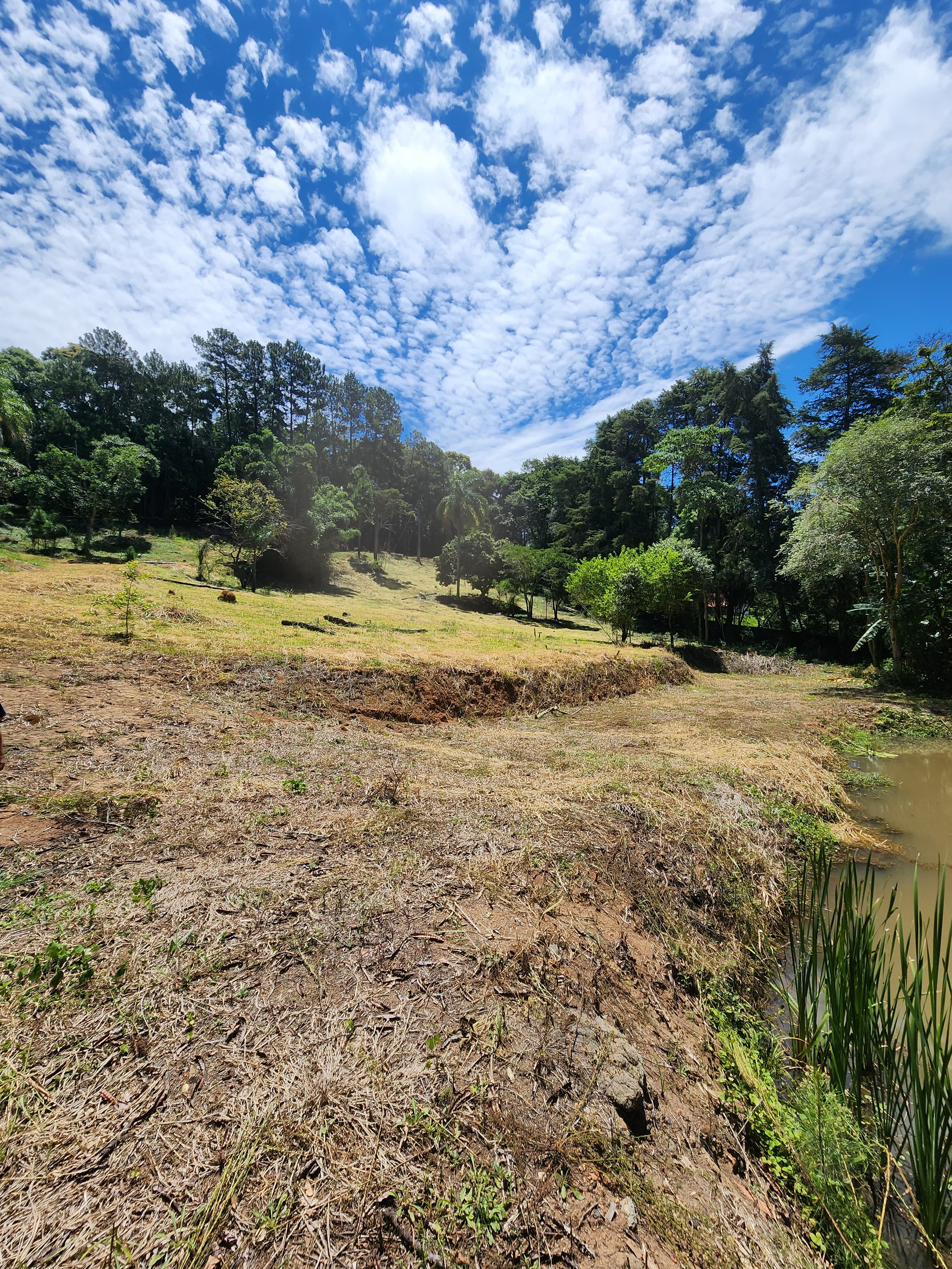 Sítio à venda com 3 quartos, 36000m² - Foto 21