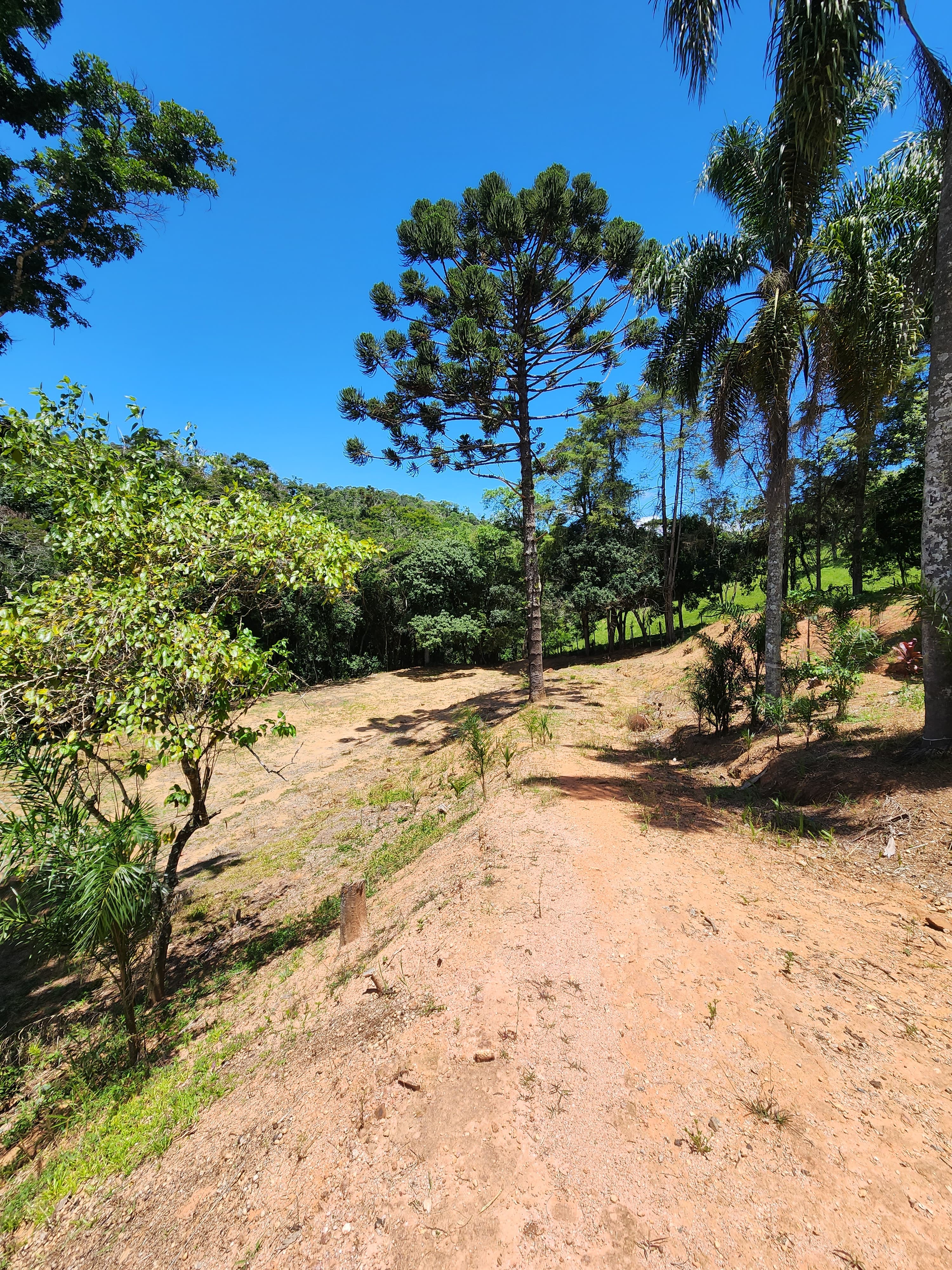 Sítio à venda com 3 quartos, 36000m² - Foto 22