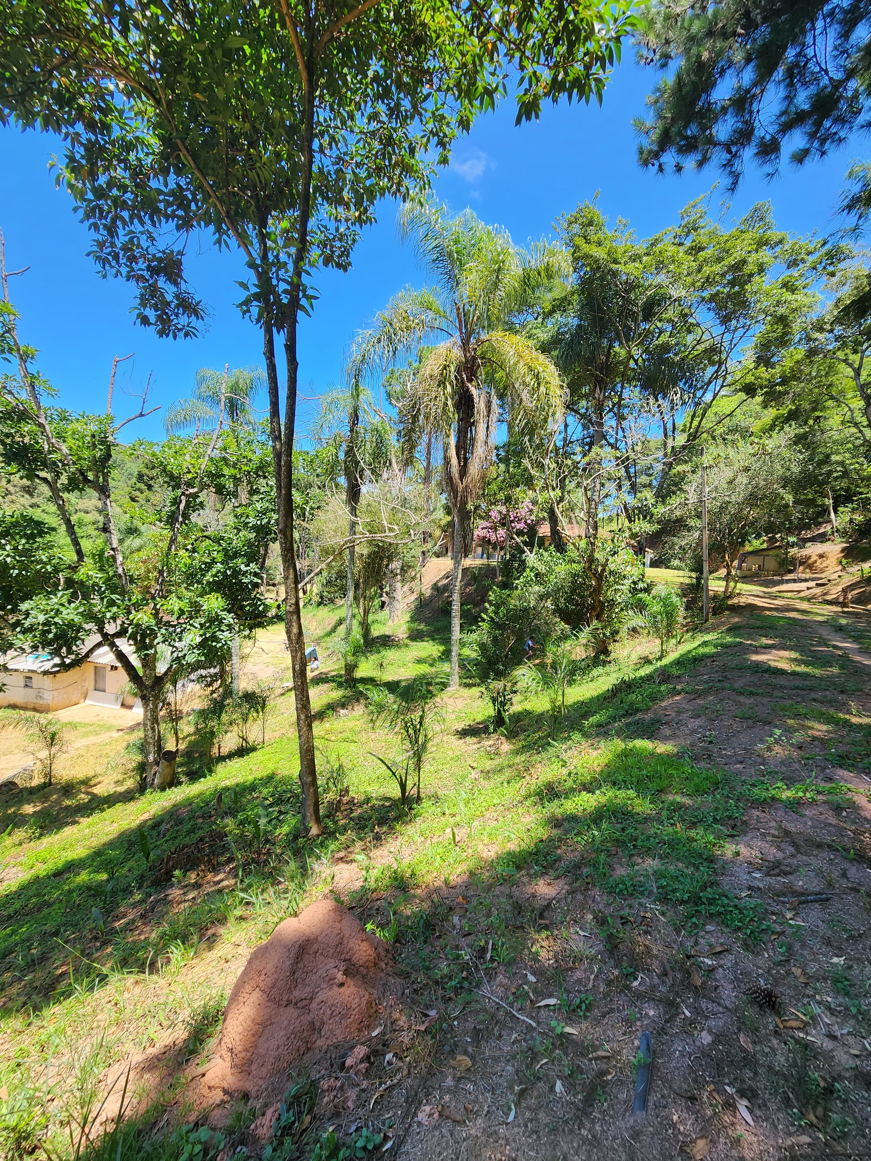 Sítio à venda com 3 quartos, 36000m² - Foto 23