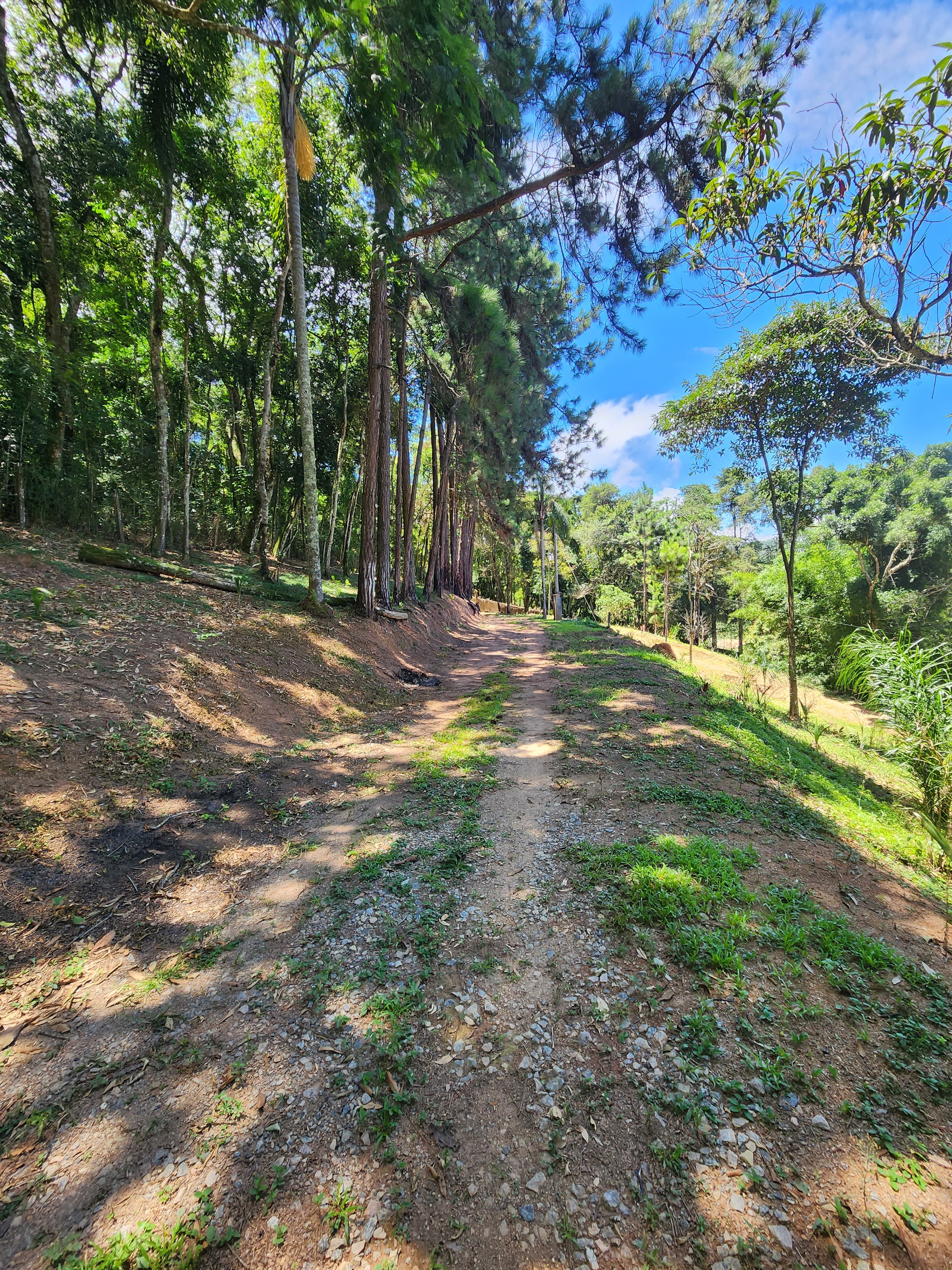 Sítio à venda com 3 quartos, 36000m² - Foto 24