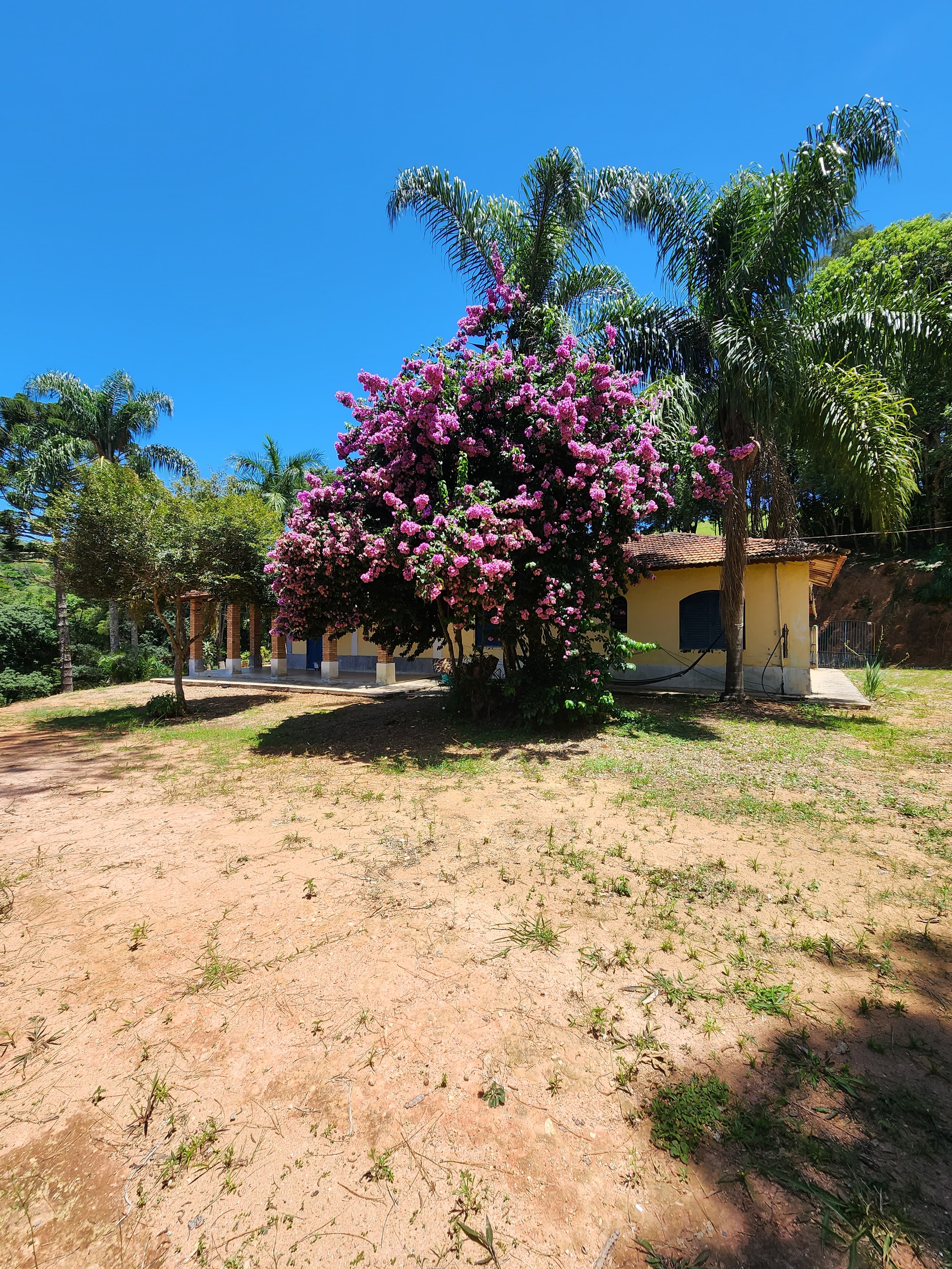 Sítio à venda com 3 quartos, 36000m² - Foto 14