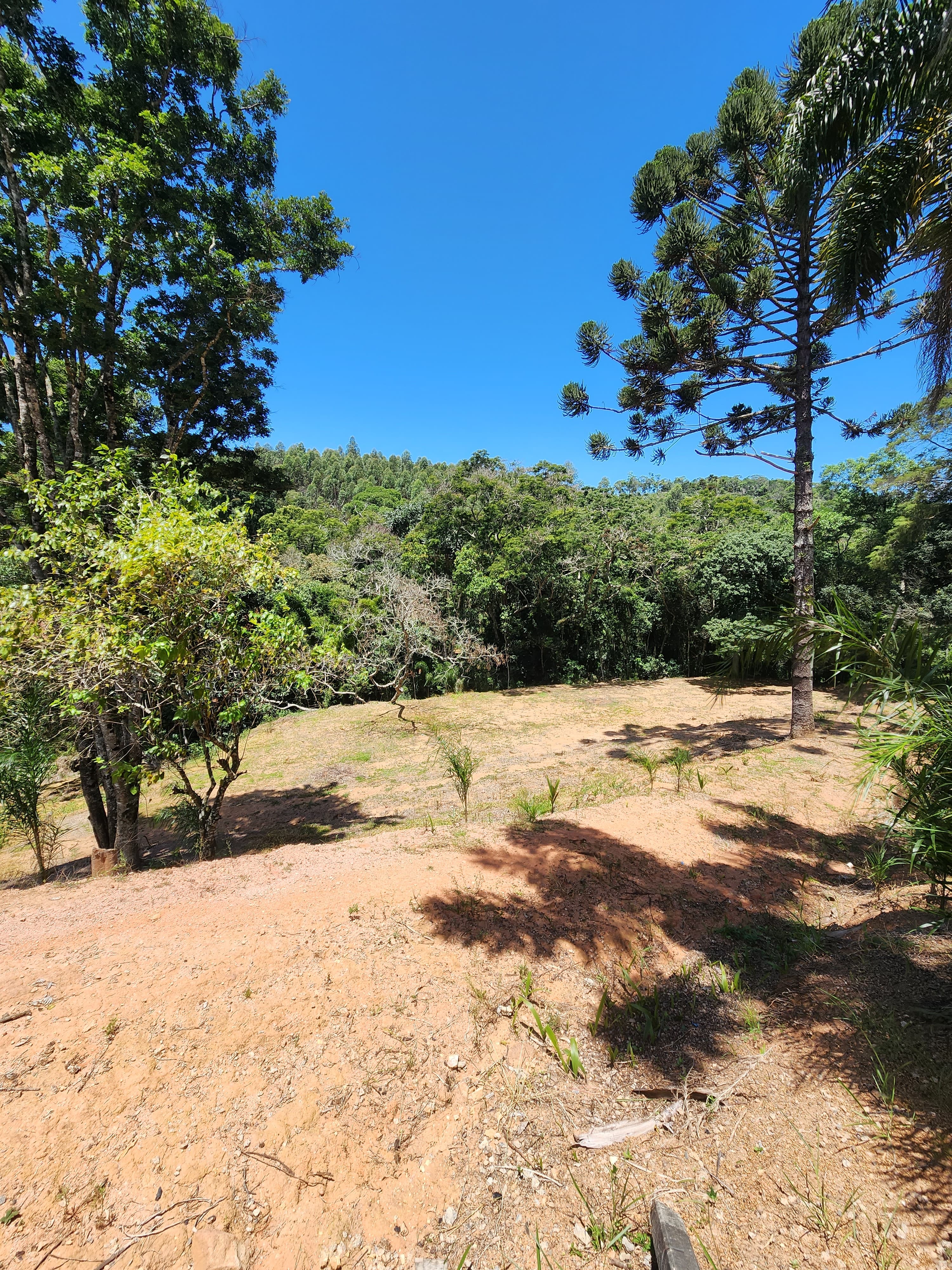 Sítio à venda com 3 quartos, 36000m² - Foto 25