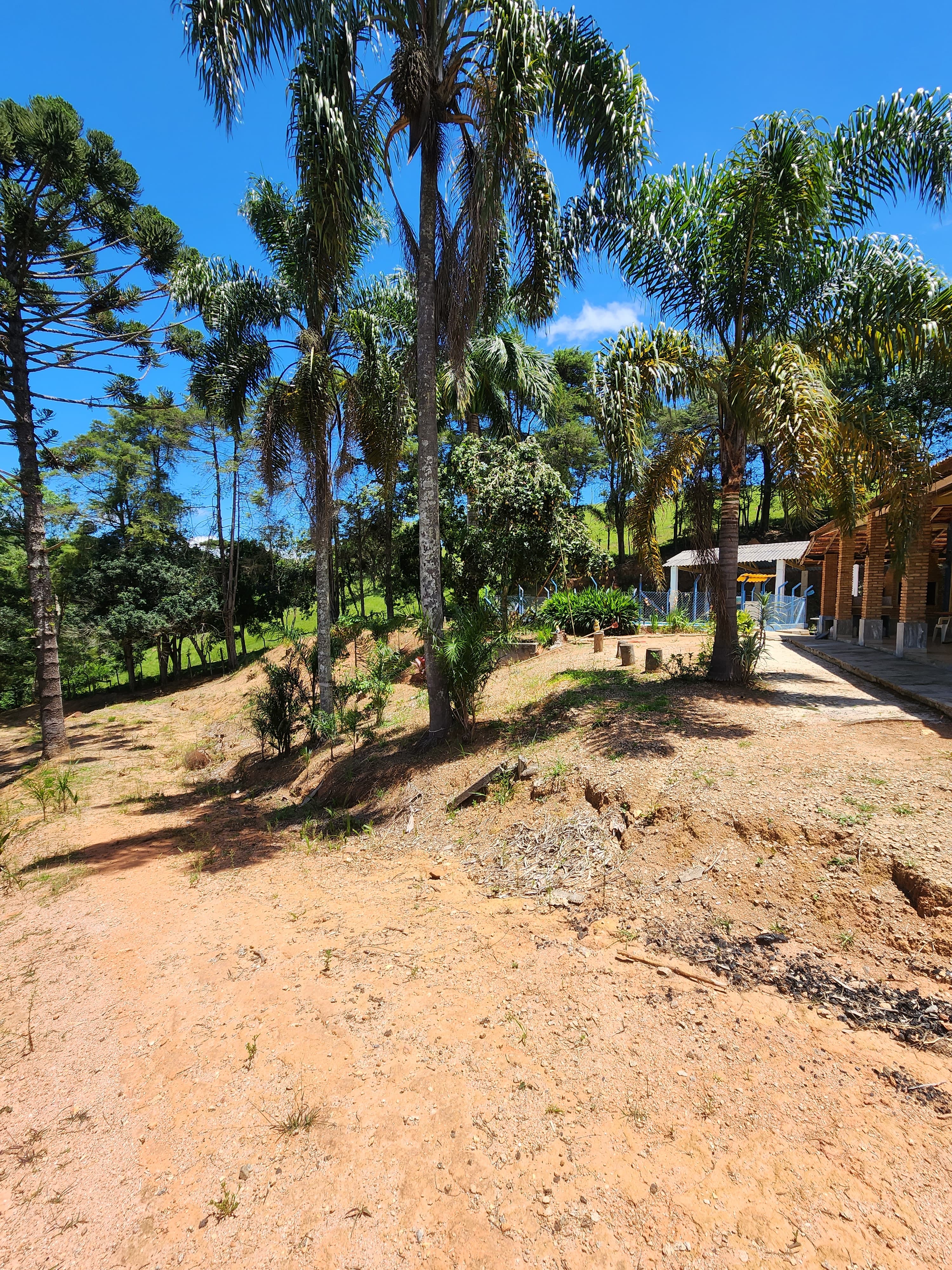 Sítio à venda com 3 quartos, 36000m² - Foto 15
