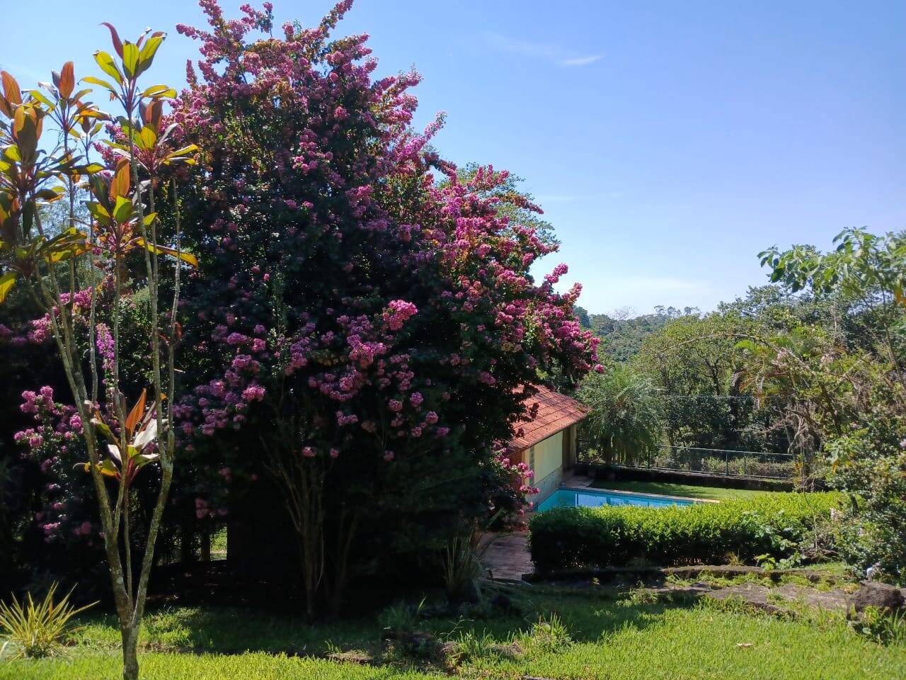 Chácara à venda com 5 quartos, 3000m² - Foto 12