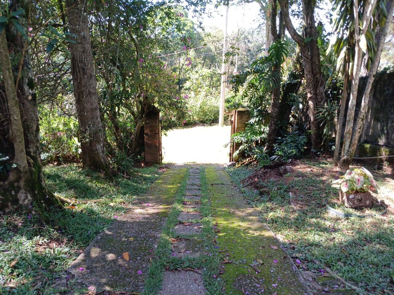 Chácara à venda com 5 quartos, 3000m² - Foto 13