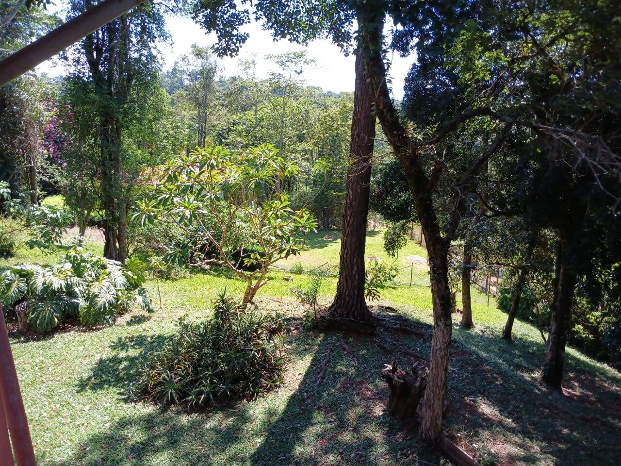 Chácara à venda com 5 quartos, 3000m² - Foto 40