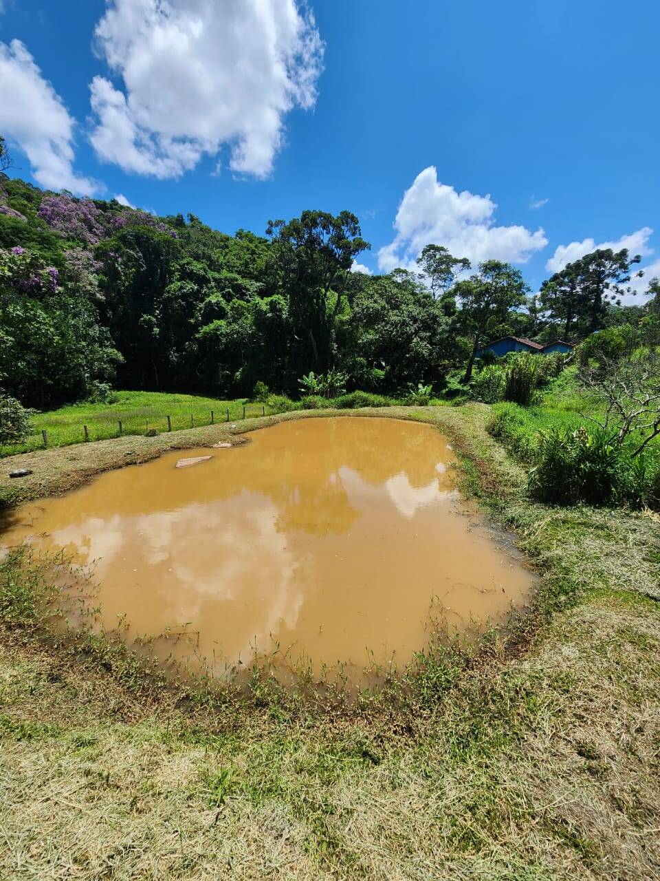 Sítio à venda com 2 quartos, 23000m² - Foto 4