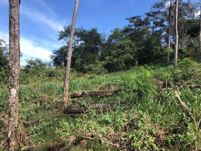 #2116 - Área industrial para Venda em Bom Jesus dos Perdões - SP - 2