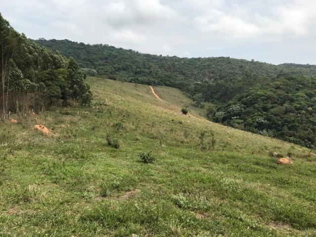 #2516 - Área industrial para Venda em Nazaré Paulista - SP - 2