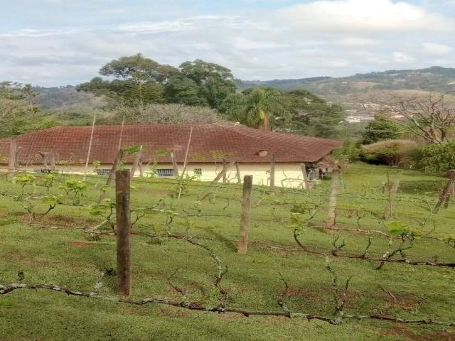 #2807 - Sítio para Venda em Atibaia - SP - 2