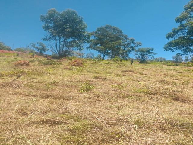 #2842 - Chácara para Venda em Atibaia - SP - 2