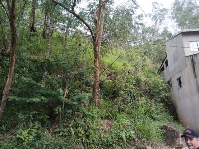 #2933 - Área industrial para Venda em Mairiporã - SP - 3