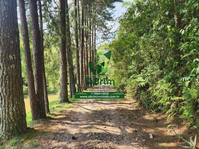 #3231 - Sítio para Venda em Nazaré Paulista - SP - 3