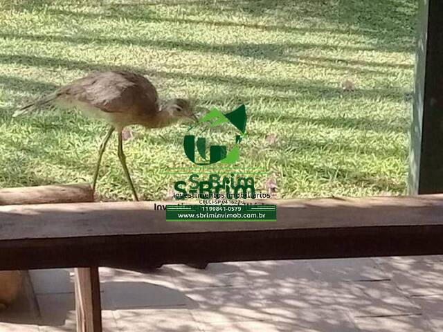 #3310 - Sítio para Venda em Atibaia - SP - 2