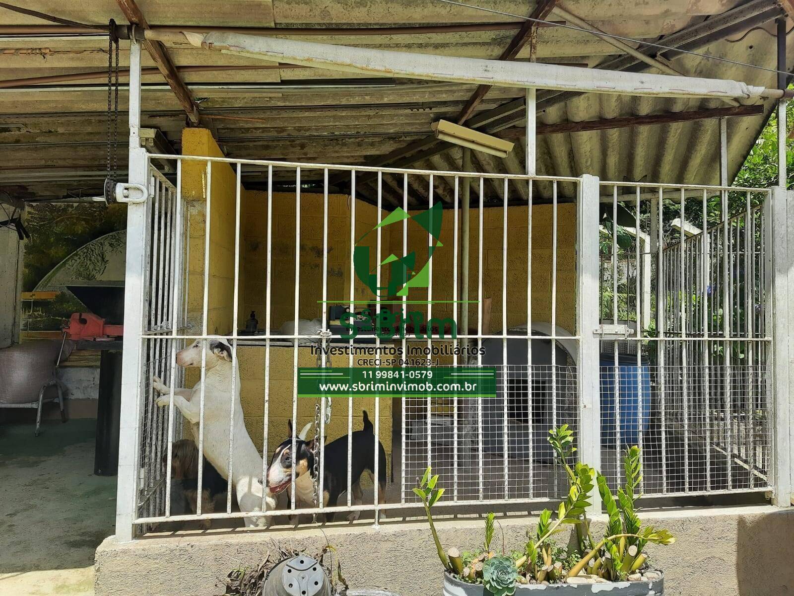 Chácara à venda com 3 quartos, 141m² - Foto 9