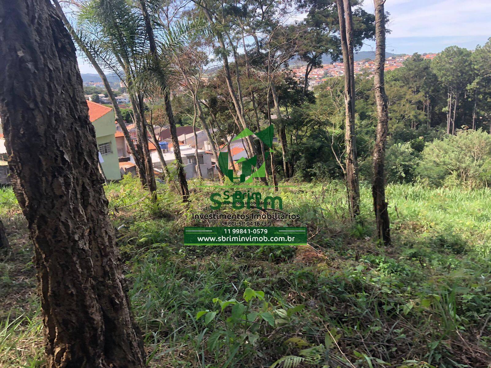 Terreno à venda - Foto 5