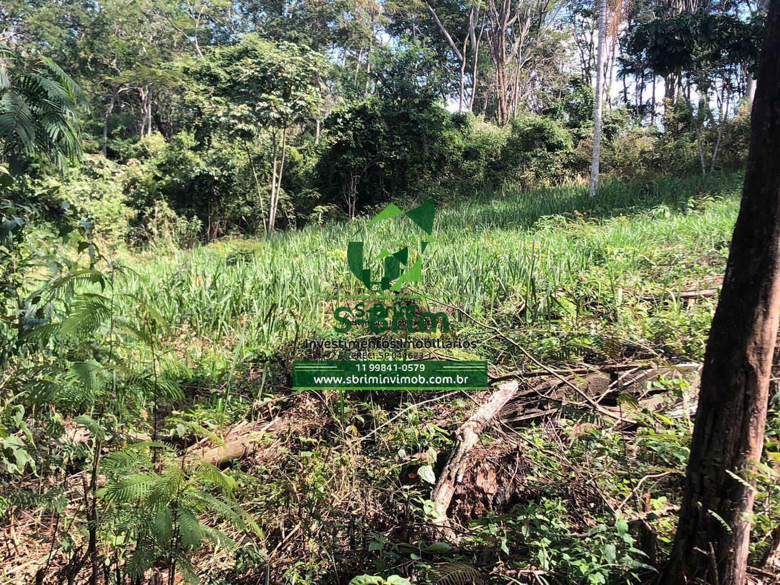 Terreno à venda - Foto 6