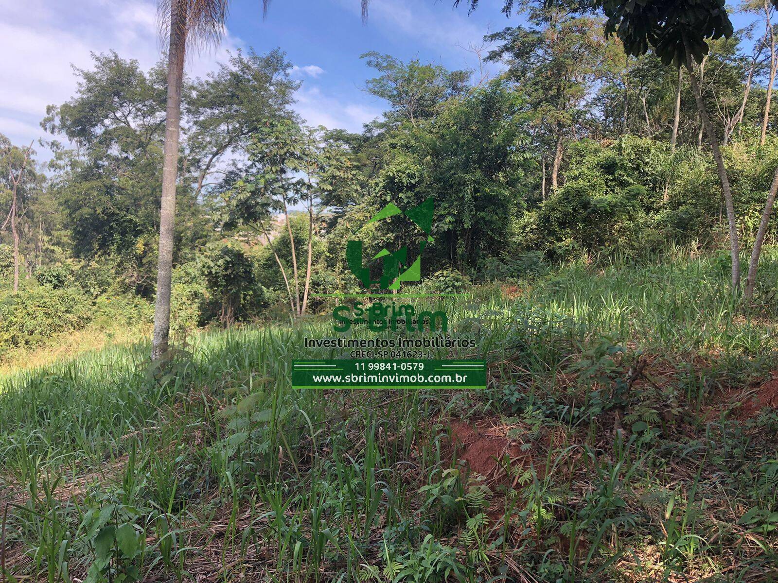 Terreno à venda - Foto 7